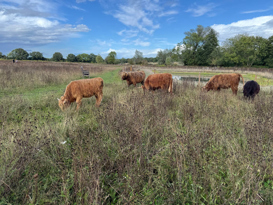 Why Land Matters: Growing Holdfast Estate the Right Way