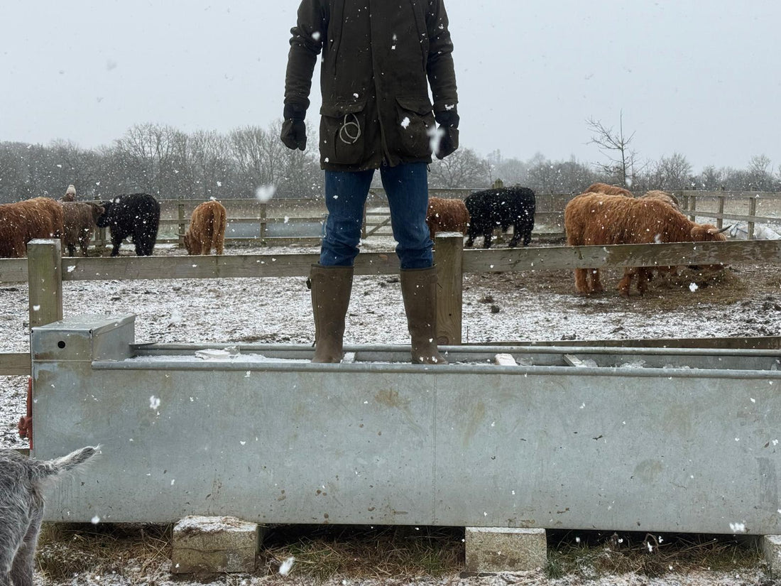 Winter on the Land: When a Hard Summer Makes an Even Harder Winter