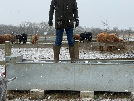 Winter on the Land: When a Hard Summer Makes an Even Harder Winter